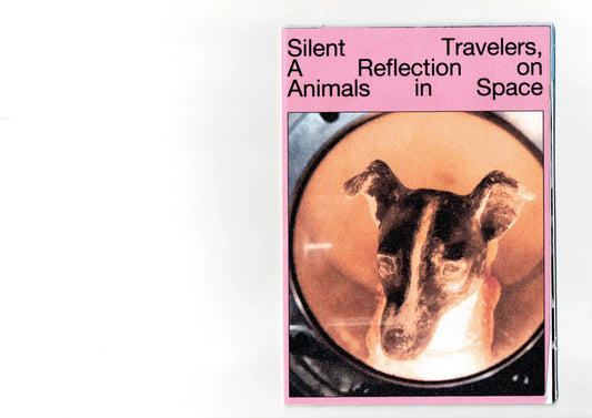 Silent Travelers - INCONGRUENTE